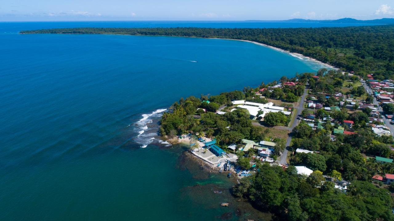 Gigi Brown Villa Paparazzi Beachfront Puerto Viejo de Talamanca Exteriér fotografie