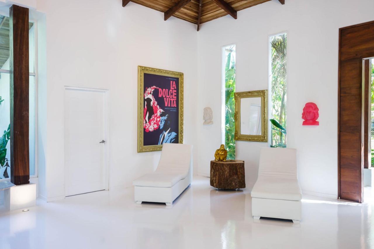 Gigi Brown Villa Paparazzi Beachfront Puerto Viejo de Talamanca Exteriér fotografie